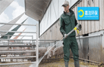 非洲豬瘟:通過高壓清洗機(jī)清潔預防